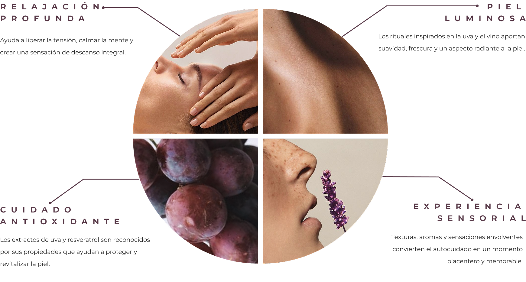 Vinotherapy Experience