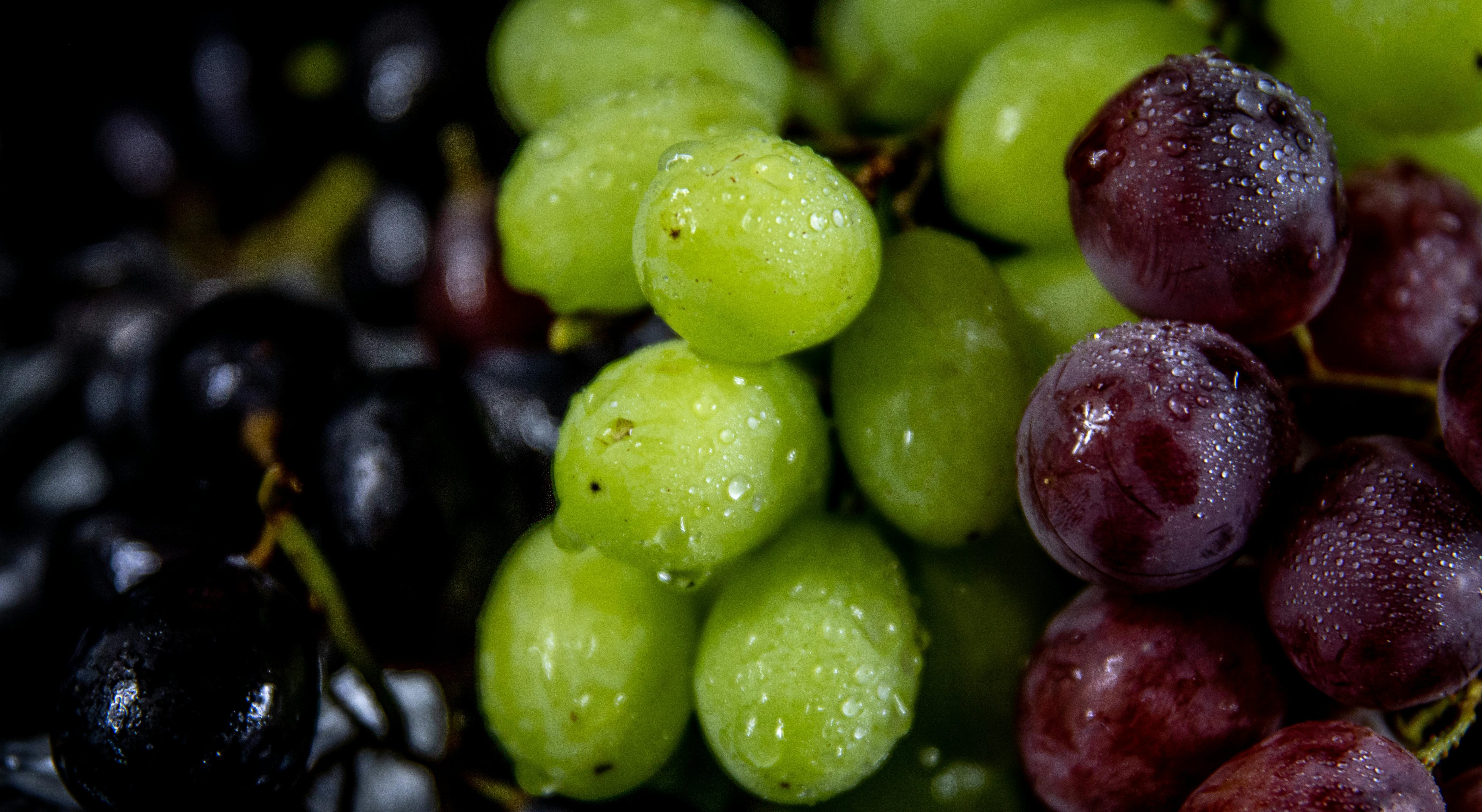 Beneficios del reveratrol en la piel